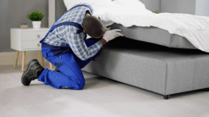 Brookfield Bed Bug Exterminator