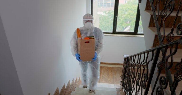 Why DIY Bed Bug Treatments Often Fail